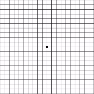 定期使用 Amsler Grid（阿姆斯勒方格表）作自我檢測